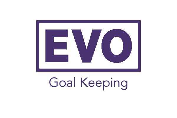 Home 40 Evo Goal Keeping Purple