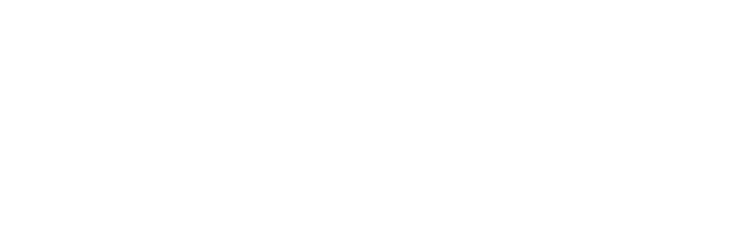 Warrior Spirit